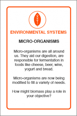 Environmental Systems
