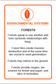 Environmental Systems